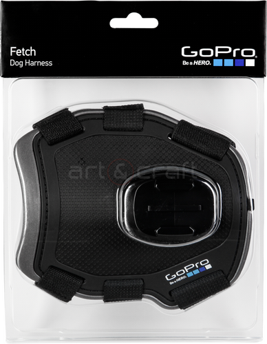 GoPro Fetch - 1