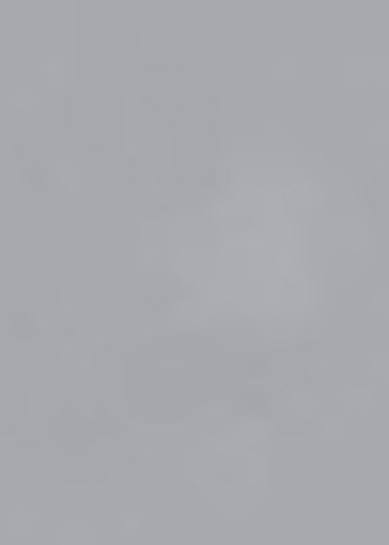 Superior Achtergrondpapier 58 Slate Grey 1,35 x 11m - 2