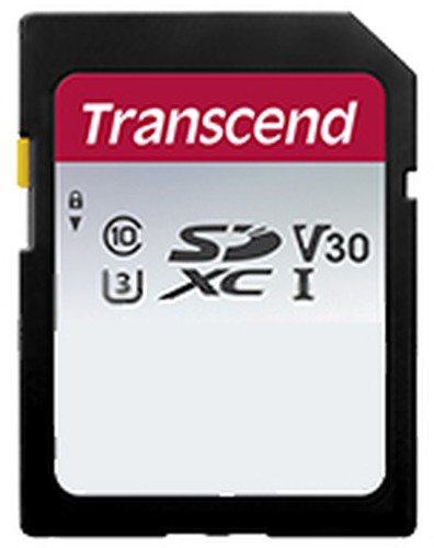 Transcend 256GB SDXC Class 10 UHS-I U3 V30 (R 95 W 45 MB/s) - 1
