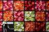 Sony FE Vario-Tessar T* 24-70mm f/4.0 ZA OSS - 7