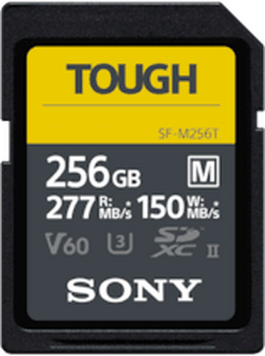 Sony SF-M 256GB SF-M256T - 1
