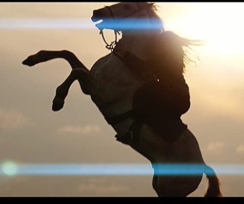 Sirui 75mm Anamorphic Lens (MFT mount) - 9