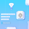 TP-Link WiFi Smart Plug TAPOP1001P - 7