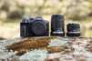 Canon EOS R7 + RF-S 18-150mm IS STM - 8