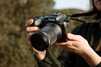 Canon EOS R7 + RF-S 18-150mm IS STM - 9