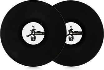 Pioneer DJ Control Vinyl RBVD2K
