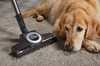 Miele Blizzard CX1 Cat  Dog PowerLine - Rouge mangue - 8