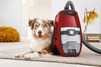 Miele Blizzard CX1 Cat  Dog PowerLine - Rouge mangue - 9