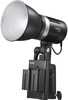 Godox ML30BI Duo LED Light Kit - 10