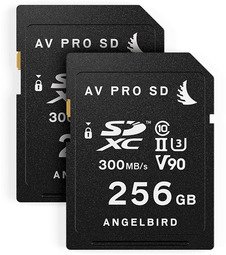 Angelbird Match Pack For Panasonic EVA1 256GB | 2-pack