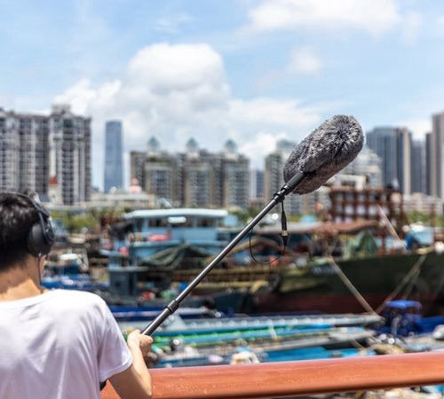 Boya BY-BM6060 condensor shotgun microphone - 7