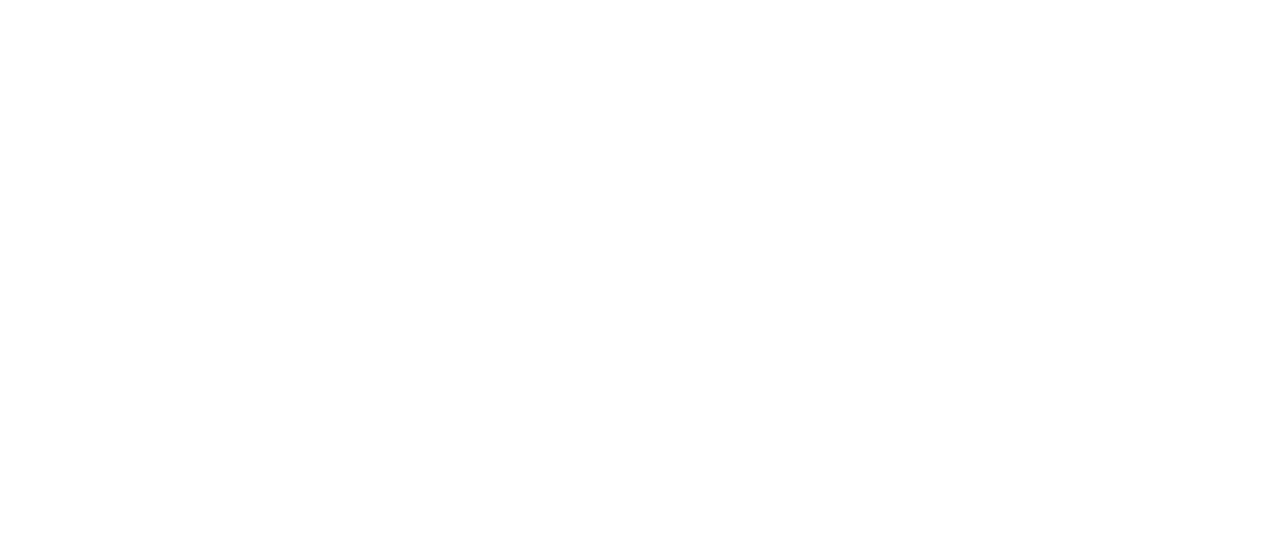 Braun_Logo.white