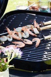 Barbecook Magnus Premium - Demotoestel Showroom
