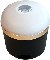 EcoFlow Camping Light