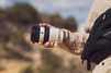 Sony FE 70-200mm F4 G OSS II - 10