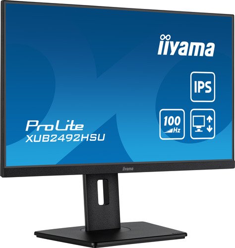 iiyama ProLite XUB2492HSU-B6-2