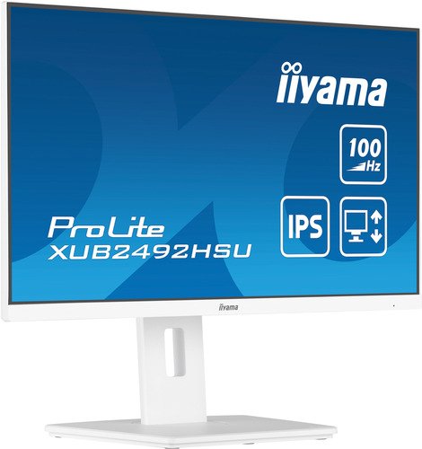 iiyama ProLite XUB2492HSU-W6-3