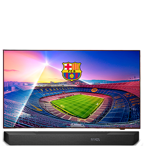 Detailfoto-Barca