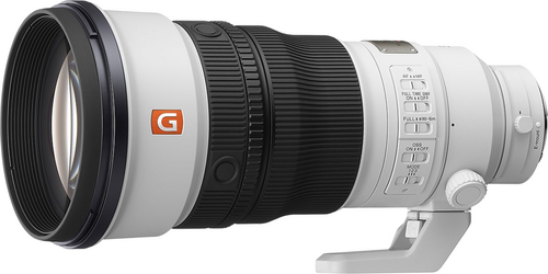 Sony FE 300mm F2.8 GM - 1