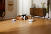 Dreame L10S Pro Ultra Heat - 25