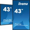 iiyama ProLite LH4375UHS-B1AG-4