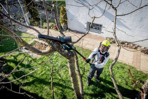 Metabo Scie à élaguer MS 18 LTX 15 - 4