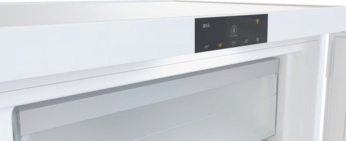 Miele Diepvrieskast F 4001 C ws-4