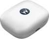 Moto Buds Blueberry - 10