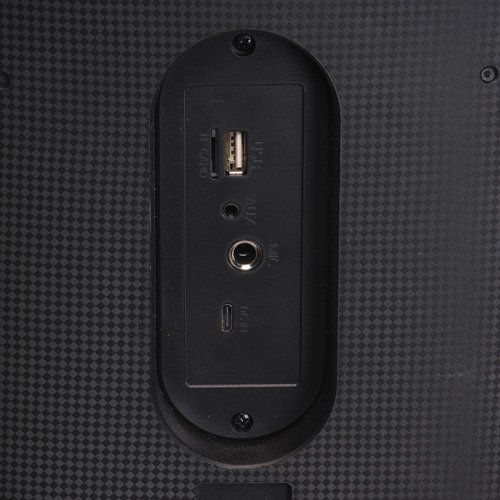Denver Party Speaker BPS-354 - 6