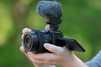 Sony ZV-E10 II + 16-50mm f/3.5-5.6 Power Zoom - 12