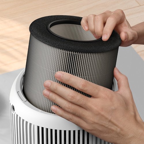 Philips Filtre FY0900/30 - 3