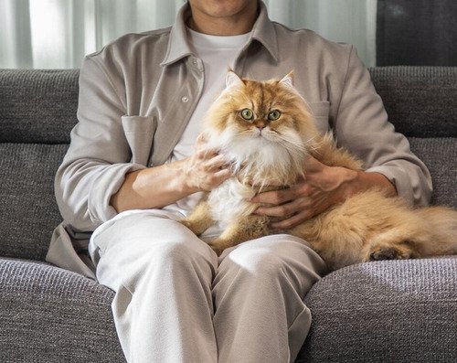 Rowenta X-Clean 4 GZ5035WO - 17