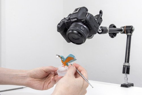 Canon RF-S 7.8mm F4 STM Dual - 14