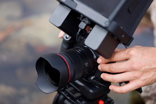 Canon RF 24mm F1.4L VCM - 11