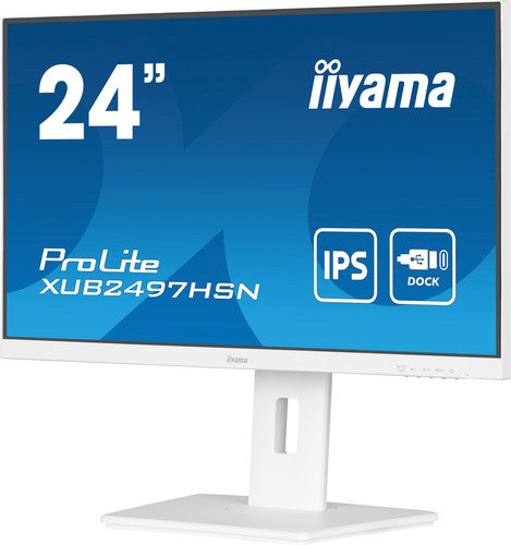iiyama ProLite XUB2497HSN-W2 - 5