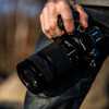 Panasonic Lumix S 70-300mm F4.5-5.6 - 2