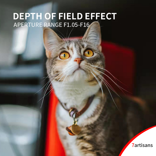 7Artisans 50mm f/1.05 Nikon Z-Mount | FullFrame - 10