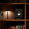 Technics SL-1300GEK + SCCX700EK - 14