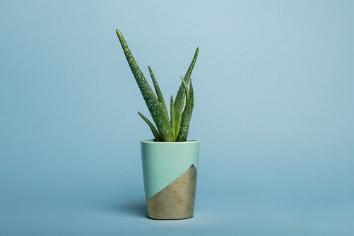 Superior Achtergrondpapier 02 Sky Blue 1,35 x 11m - 6