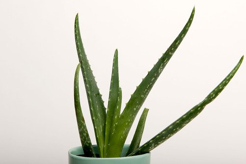 Superior Achtergrondpapier 28 Snow 1,35 x 11m - 3