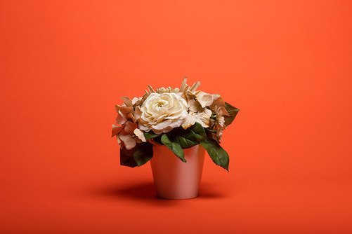 Superior Achtergrondpapier 39 Bright Orange 1,35 x 11m - 5