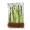 Solis Eco Sachets 20 x 30 cm (50 pcs) - 4