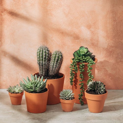 V-Flat World French Clay/Terracotta Blush - 10