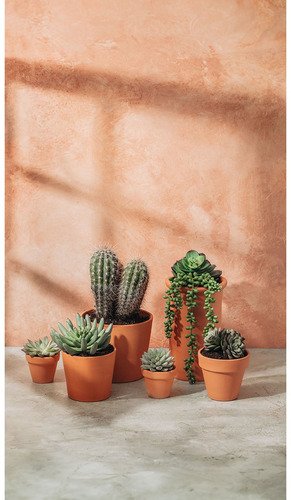 V-Flat World French Clay/Terracotta Blush - XL - 4