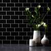 V-Flat World White Subway Tile/Ebony Subway Tile - XL - 6