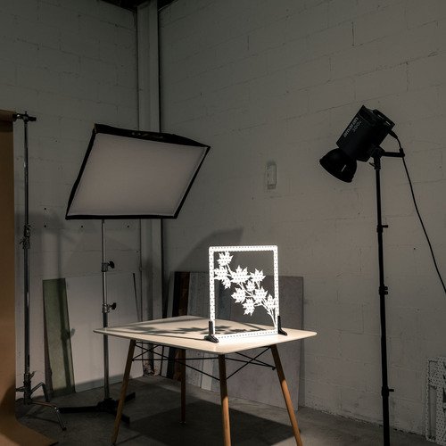 V-Flat World Shadow Boards - Maple Leafs - 4