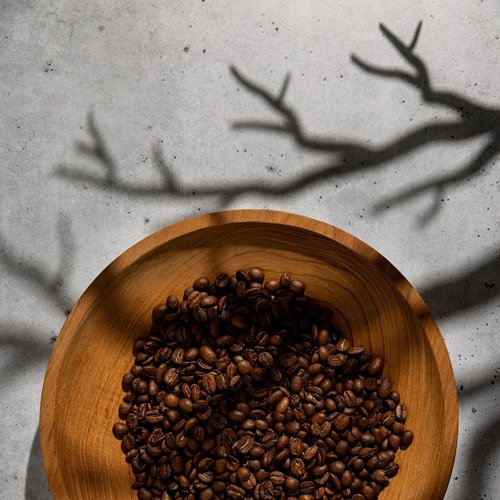 V-Flat World Shadow Boards - Tree Branches - 3