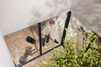 Miele Guard L1 Cat  Dog Obsidian Black - 5