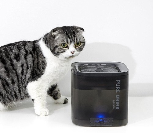 Petkit Fontaine à boire EverSweet Solo Gris - 6