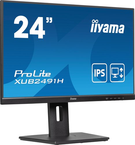 iiyama ProLite XUB2491H-B1 - 2